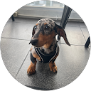 Doreen Dorothy profile picture