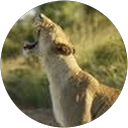 Karl Otto profile picture