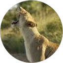 Karl Otto profile picture